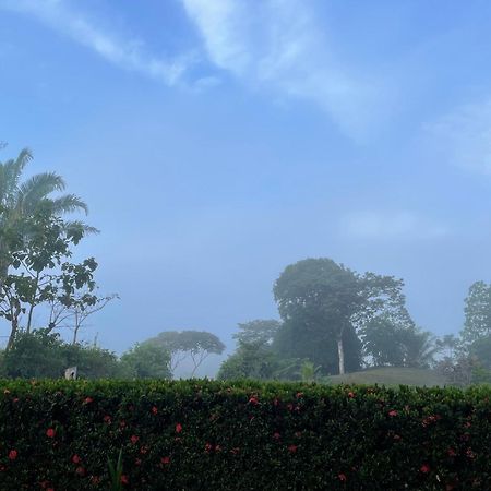Valles Of Osa Palmar Sur エクステリア 写真