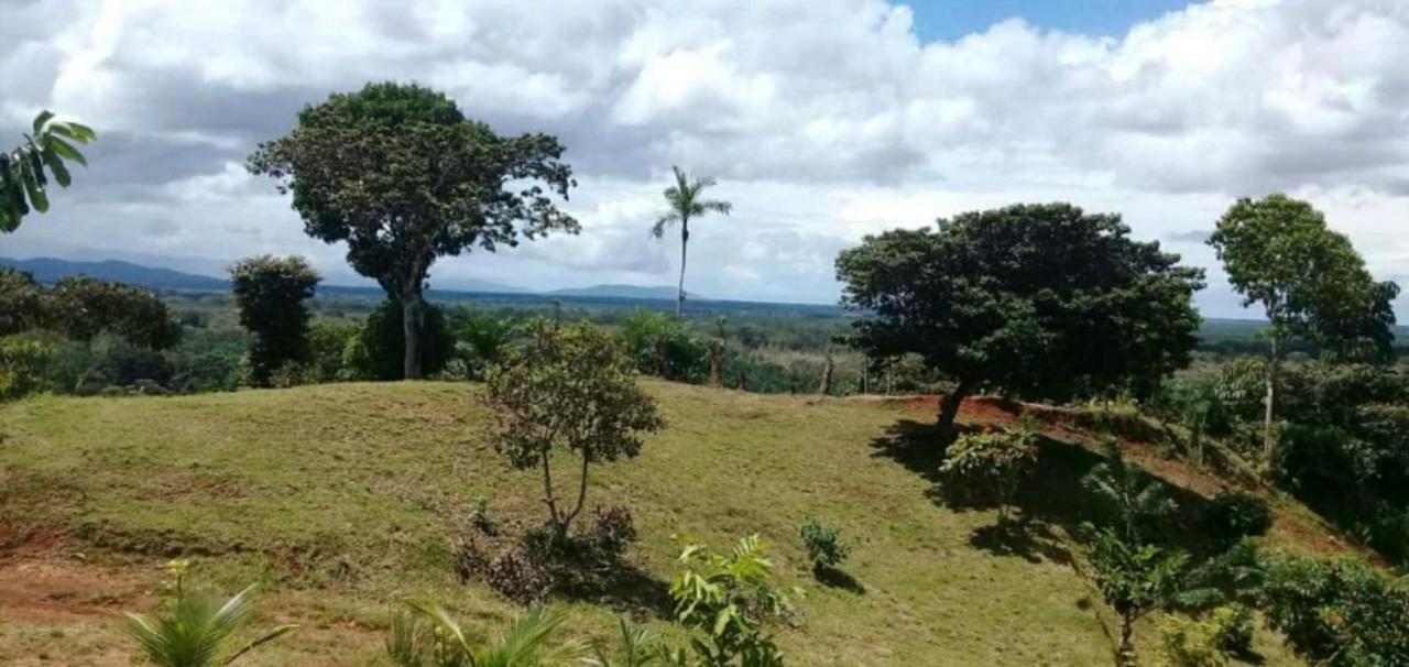 Valles Of Osa Palmar Sur エクステリア 写真