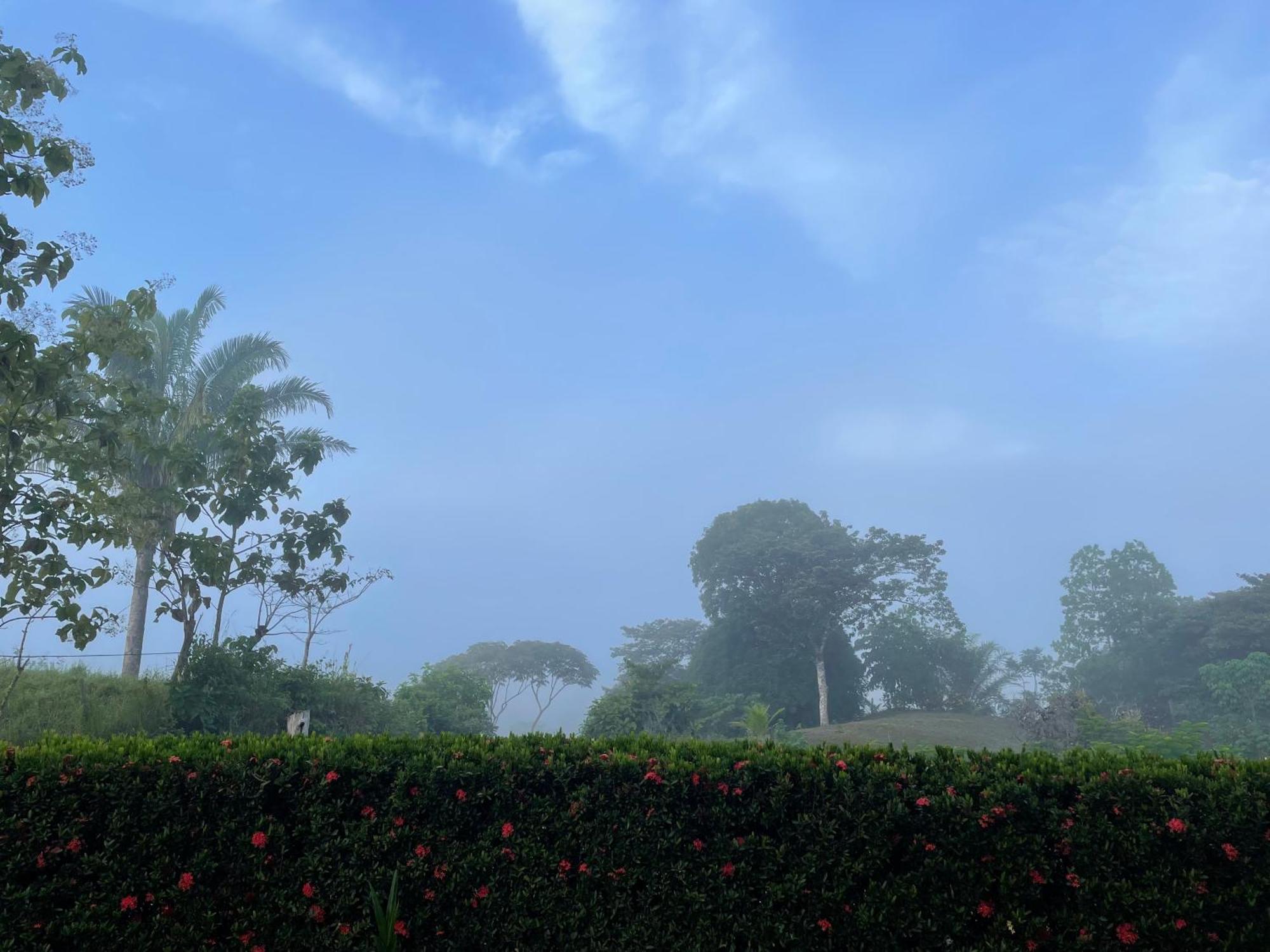 Valles Of Osa Palmar Sur エクステリア 写真
